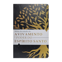 BÍBLIA DE ESTUDO TEMÁTICA DO AVIVAMENTO E O PODER DO ESPÍRITO SANTO ARC - CAPA 01