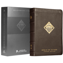 BÍBLIA DE ESTUDO THOMAS NELSON NVI, CAPA EM COURO LEGÍTIMO MARROM, LEITURA PERFEITA, PREMIER COLLECTION | BÍBLIA COM MAIS DE 50 MIL RECURSOS