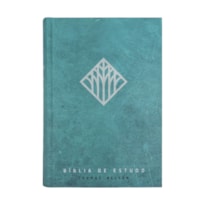 BÍBLIA DE ESTUDO THOMAS NELSON NVI, LETRA TRADICIONAL, FONTE LEITURA PERFEITA, COM MAPAS E MAIS DE 50 MIL RECURSOS, CAPA DURA VERDE