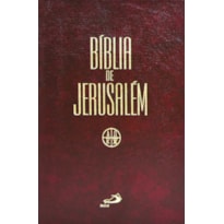 BIBLIA DE JERUSALEM MEDIA ZIPER