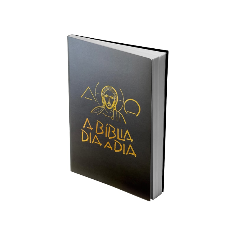 BÍBLIA DIA A DIA 2025 - LUXO - SINTÉTICO LISO
