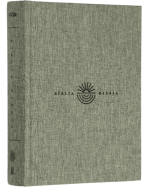 BÍBLIA DIÁRIA NVI, LETRA TRADICIONAL, FONTE LEITURA PERFEITA, CAPA DURA COM TECIDO CINZA