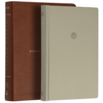 BÍBLIA DIÁRIA NVI, LETRA TRADICIONAL, FONTE LEITURA PERFEITA, CAPA LUXO MARROM