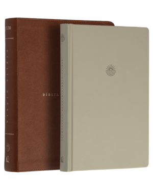 BÍBLIA DIÁRIA NVI, LETRA TRADICIONAL, FONTE LEITURA PERFEITA, CAPA LUXO MARROM