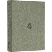 BÍBLIA DIÁRIA, NVI, TECIDO SOBRE CAPA DURA, CINZA, LEITURA PERFEITA - COMECE SUA JORNADA DE 365 DIAS COM A BÍBLIA EM QUALQUER MOMENTO DO ANO