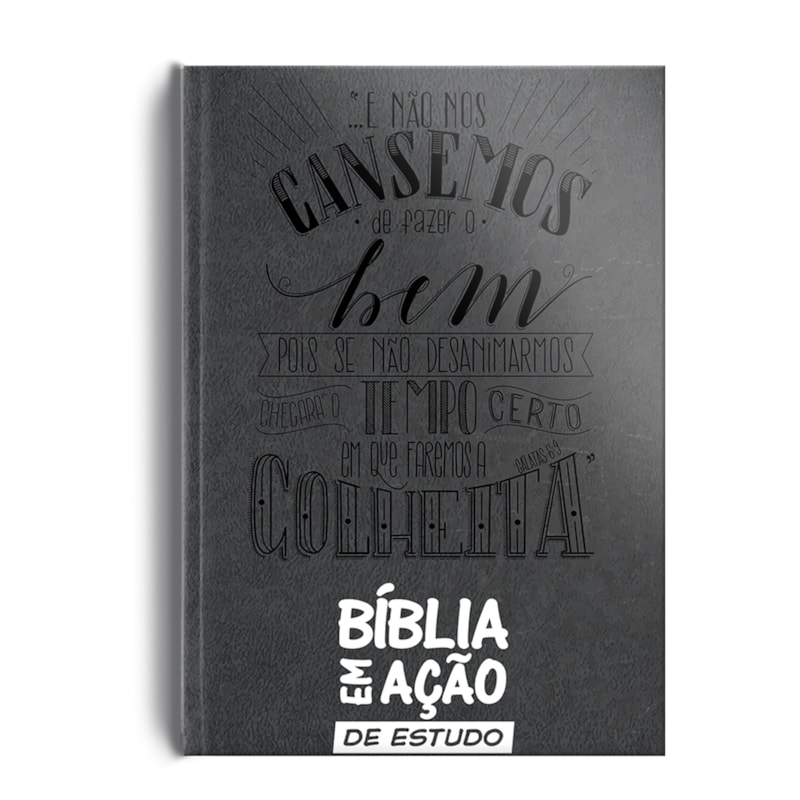 BÍBLIA EM AÇÃO DE ESTUDO - VERSÃO MENSAGEM - LUXO CINZA