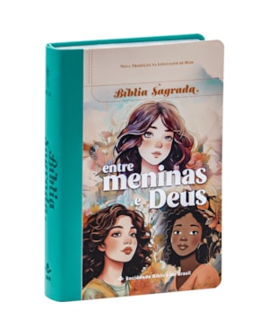 BÍBLIA ENTRE MENINAS E DEUS NTLH, LETRA REGULAR, COM MAPA, CAPA COURO SINTÉTICO ILUSTRADA: CINZA: NOVA TRADUÇÃO NA LINGUAGEM DE HOJE (NTLH)