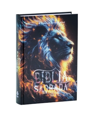 BÍBLIA EXTREME TEEN NTLH, LETRA REGULAR, COM MAPA, CAPA DURA ILUSTRADA: PRETO: NOVA TRADUÇÃO NA LINGUAGEM DE HOJE (NTLH)