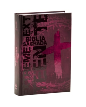 BÍBLIA EXTREME TEEN NTLH, LETRA REGULAR, COM MAPA, CAPA DURA VINHO: NOVA TRADUÇÃO NA LINGUAGEM DE HOJE (NTLH)