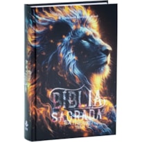BÍBLIA EXTREME TEEN PARA JOVENS E ADOLESCENTES | SBB | BÍBLIA SAGRADA EXTREME TEEN - CAPA DURA, LEÃO: NOVA TRADUÇÃO NA LINGUAGEM DE HOJE (NTLH)