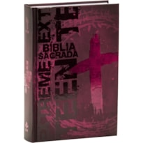 BÍBLIA EXTREME TEEN PARA JOVENS E ADOLESCENTES | SBB | BÍBLIA SAGRADA EXTREME TEEN - CAPA DURA, VINHO: NOVA TRADUÇÃO NA LINGUAGEM DE HOJE (NTLH)