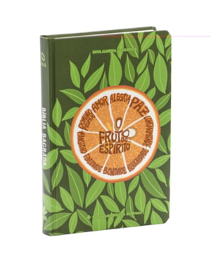 BÍBLIA FRUTO DO ESPÍRITO NAA, LETRA REGULAR, COM PALAVRAS DE JESUS DESTACADAS, COM MAPA, CAPA DURA VERDE: NOVA ALMEIDA ATUALIZADA (NAA)