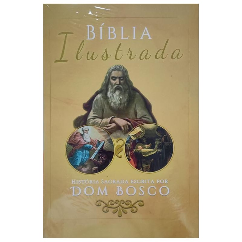 BÍBLIA ILUSTRADA - GRAVURAS - 2 VOLUMES