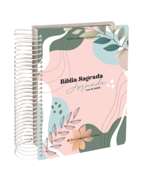 BÍBLIA JORNADA SLIM NAA COM PLANNER, LETRA REGULAR, COM ESPAÇO PARA ANOTAÇÃO, COM MAPA, CAPA DURA ILUSTRADA: CINZA: NOVA ALMEIDA ATUALIZADA (NAA)