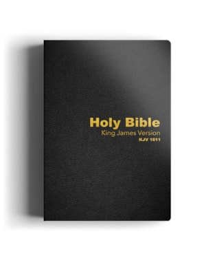 BÍBLIA KING JAMES 1611 EM INGLÊS LUXO PRETA: A KING JAMES EM VERSÃO ORIGINAL, EM INGLÊS!