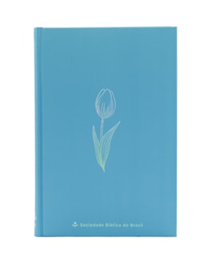 BÍBLIA LIGHT BLUE ARA, LETRA REGULAR, CAPA DURA AZUL: ALMEIDA REVISTA E ATUALIZADA (ARA)