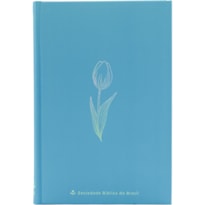 BÍBLIA LIGHT BLUE NAA, LETRA REGULAR, CAPA DURA AZUL: NOVA ALMEIDA ATUALIZADA (NAA)