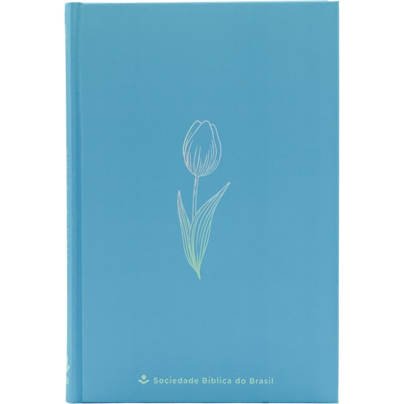 BÍBLIA LIGHT BLUE NAA, LETRA REGULAR, CAPA DURA AZUL: NOVA ALMEIDA ATUALIZADA (NAA)