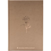 BÍBLIA MOCHA MOUSSE ARC, LETRA REGULAR, COM MAPA, CAPA DURA ILUSTRADA: TERRACOTA: ALMEIDA REVISTA E CORRIGIDA (ARC)