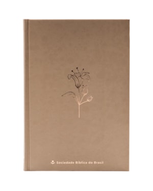 BÍBLIA MOCHA MOUSSE NTLH, LETRA REGULAR, COM MAPA, CAPA DURA ILUSTRADA: TERRACOTA: NOVA TRADUÇÃO NA LINGUAGEM DE HOJE (NTLH)