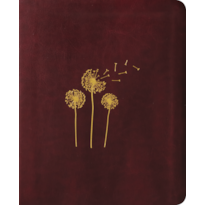 Bíblia Mulheres NAA - 1 Coluna - Sopro Divino.: Por Viviane Martinello