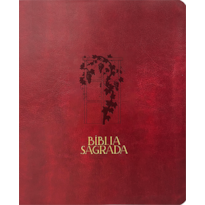 BÍBLIA MULHERES NVT - UMA COLUNA - VIDEIRA VINHO