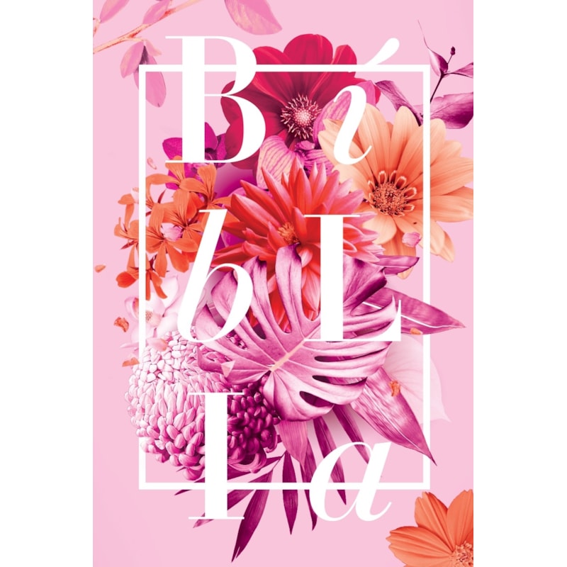 BÍBLIA NAA BUQUÊ ROSA - LETRA NORMAL - NOVA ALMEIDA ATUALIZADA