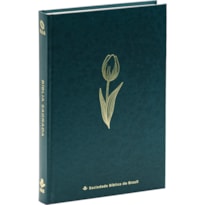 BÍBLIA NAA MARE: NOVA ALMEIDA ATUALIZADA (NAA)