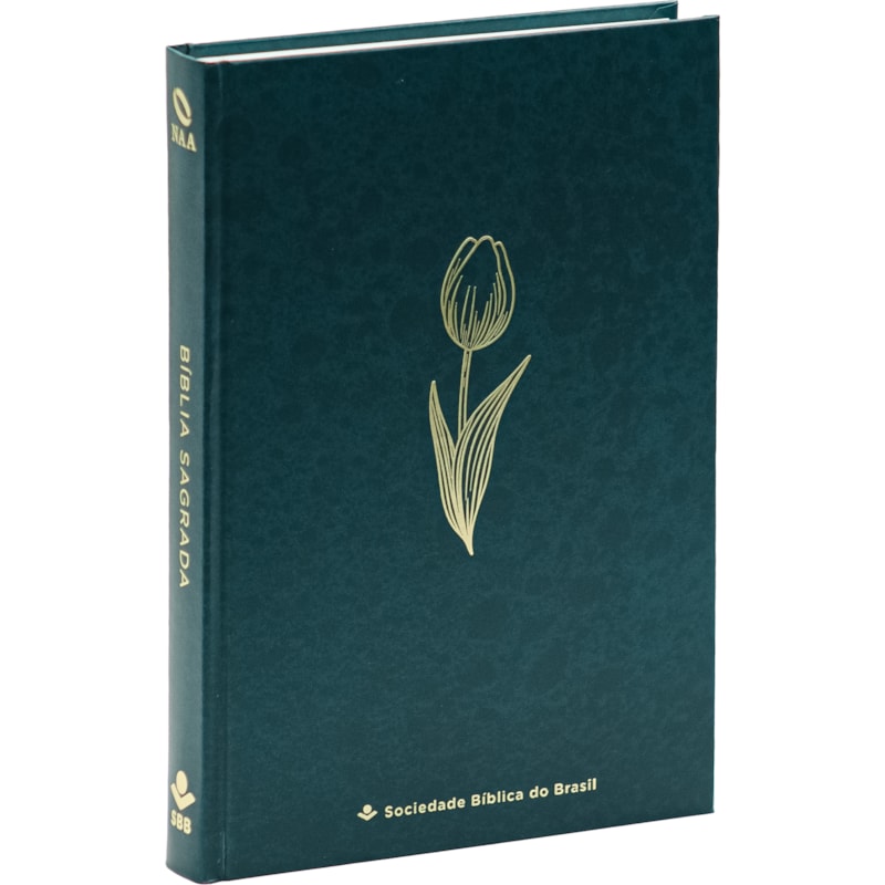 BÍBLIA NAA MARE: NOVA ALMEIDA ATUALIZADA (NAA)