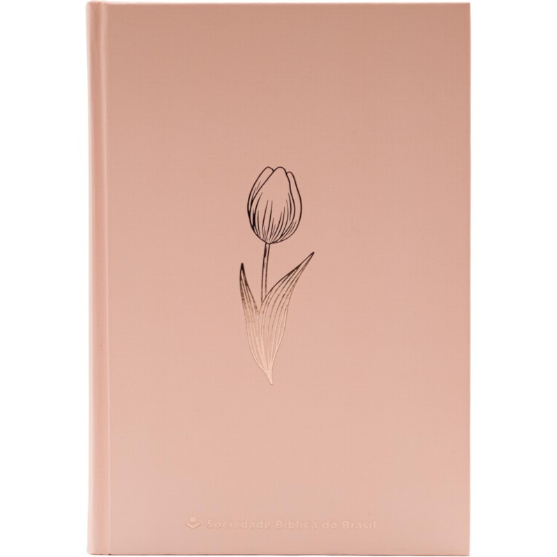 BÍBLIA NAA, ROSE TAN, CAPA DURA: NOVA ALMEIDA ATUALIZADA (NAA)