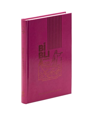 BÍBLIA NTLH, COLORS CP DURA DURA PINK: NOVA TRADUÇÃO NA LINGUAGEM DE HOJE (NTLH)