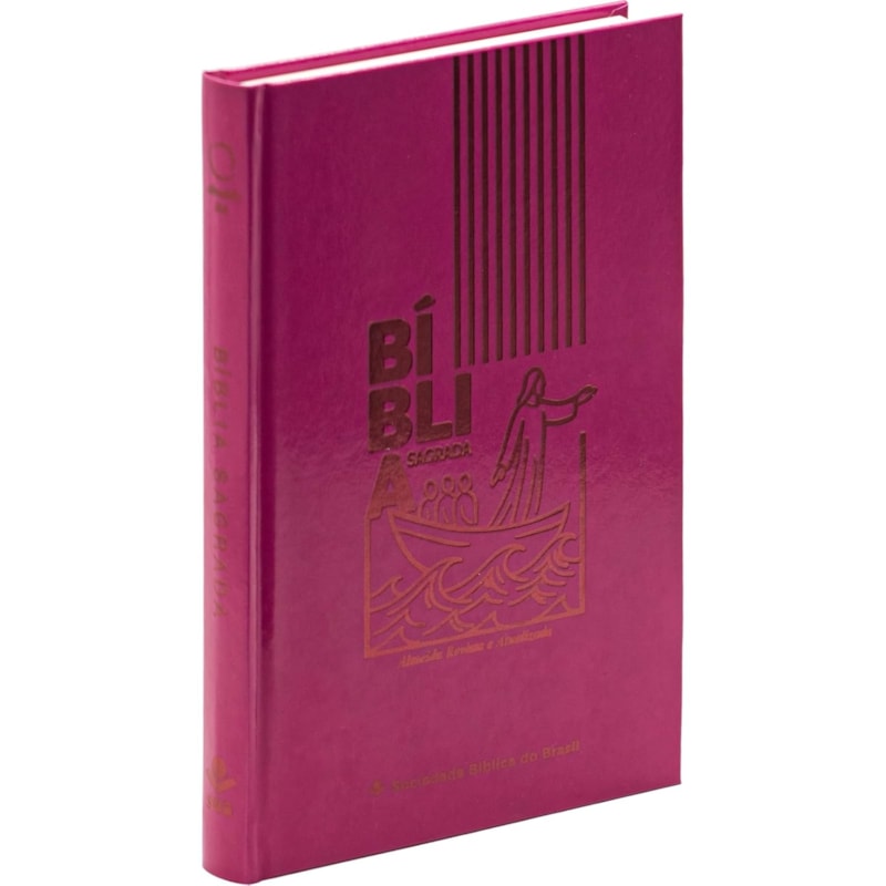 BÍBLIA NTLH, COLORS CP DURA DURA PINK: NOVA TRADUÇÃO NA LINGUAGEM DE HOJE (NTLH)