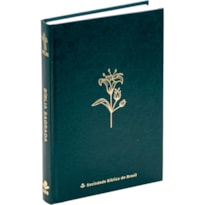 BÍBLIA NTLH, COLORS CP DURA MARE: NOVA TRADUÇÃO NA LINGUAGEM DE HOJE (NTLH)