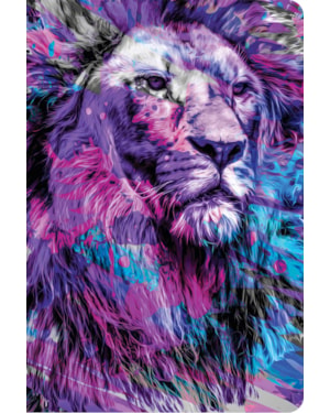 BÍBLIA NTLH YOUVERSION THE LION GELO: NOVA TRADUÇÃO NA LINGUAGEM DE HOJE