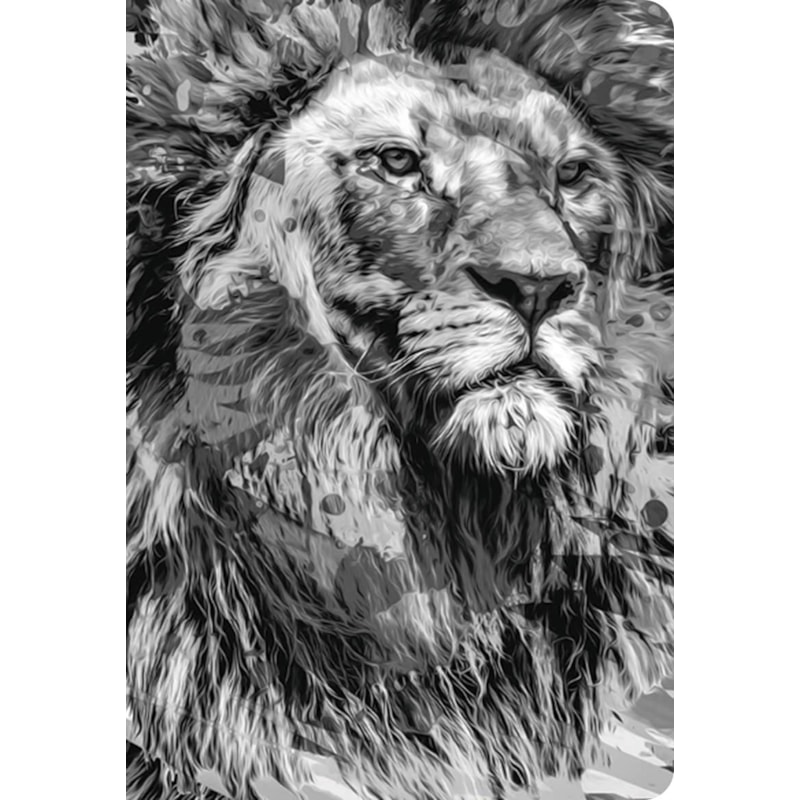 BÍBLIA NTLH YOUVERSION THE LION P&B: NOVA TRADUÇÃO NA LINGUAGEM DE HOJE