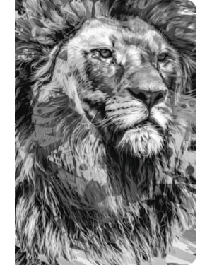 BÍBLIA NTLH YOUVERSION THE LION P&B: NOVA TRADUÇÃO NA LINGUAGEM DE HOJE