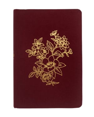 BÍBLIA NVI BIBLE JOURNALING, LETRA TRADICIONAL, FONTE LEITURA PERFEITA, COM ESPAÇO PARA ANOTAÇÕES, CAPA DURA COM TECIDO VINHO, FALEI COM AMOR: BÍBLIA SAGRADA NOVA VERSÃO INTERNACIONAL