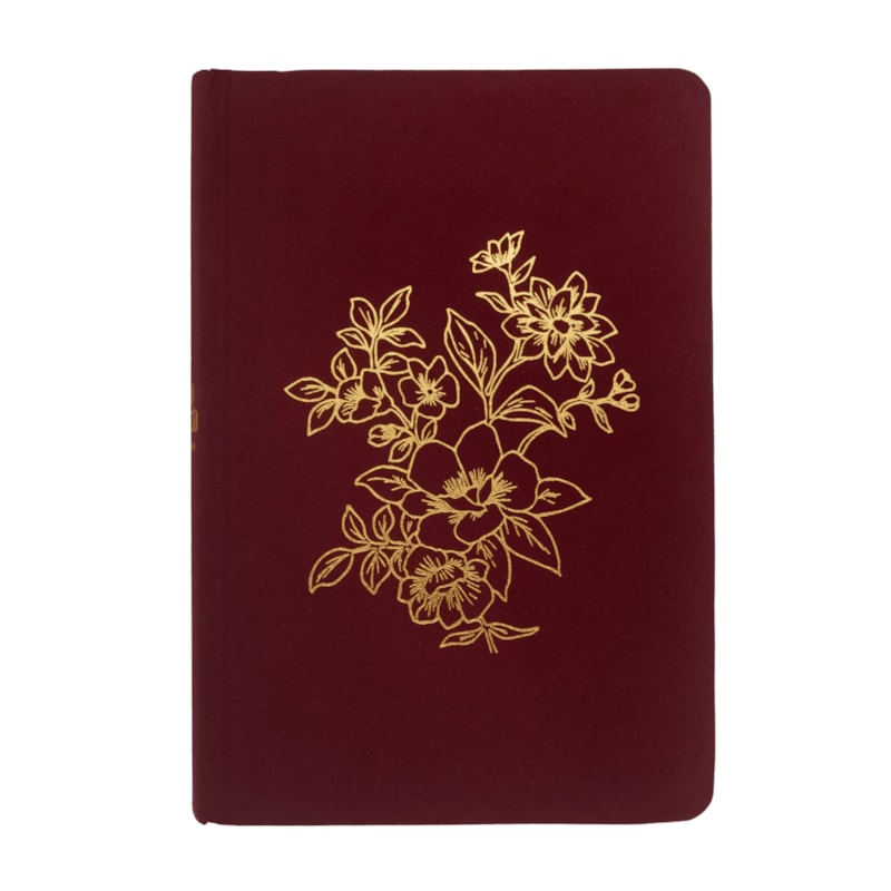 BÍBLIA NVI BIBLE JOURNALING, LETRA TRADICIONAL, FONTE LEITURA PERFEITA, COM ESPAÇO PARA ANOTAÇÕES, CAPA DURA COM TECIDO VINHO, FALEI COM AMOR: BÍBLIA SAGRADA NOVA VERSÃO INTERNACIONAL