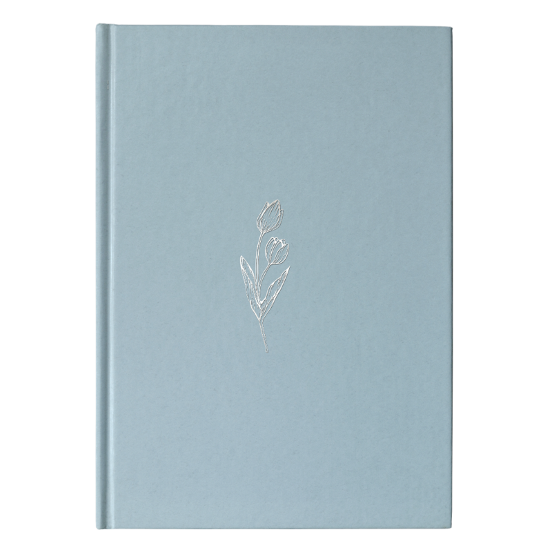 BÍBLIA NVI, CAPA DURA, AZUL, ECONÔMICA, TULIPA