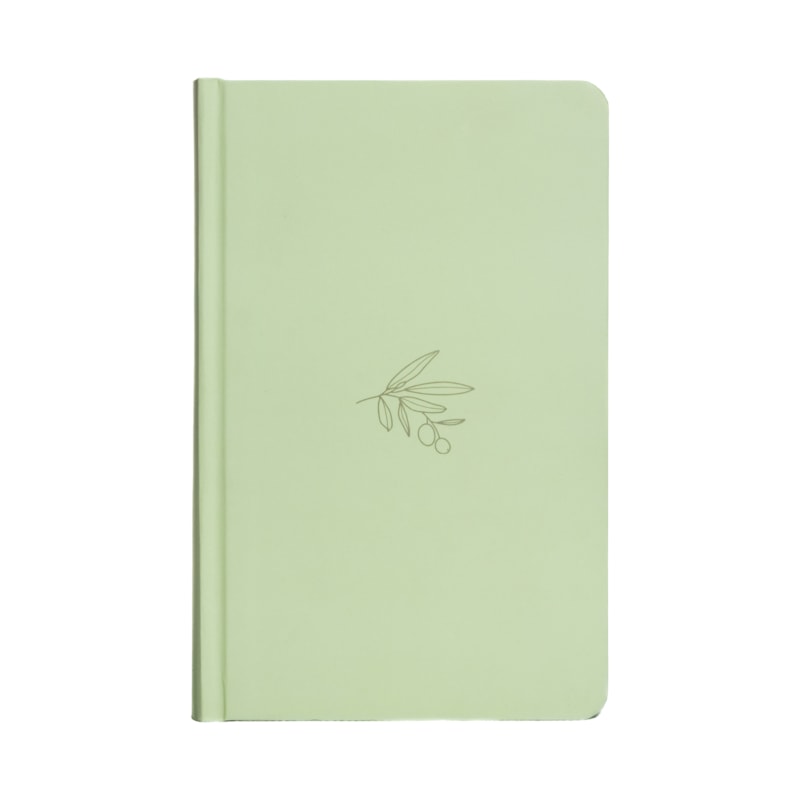 BÍBLIA NVI, CAPA DURA VERDE, OLIVEIRA MINIMALISTA, LETRAS DE JESUS EM VERMELHO, LEITURA PERFEITA