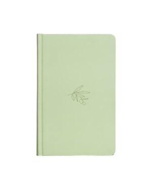 BÍBLIA NVI, CAPA DURA VERDE, OLIVEIRA MINIMALISTA, LETRAS DE JESUS EM VERMELHO, LEITURA PERFEITA