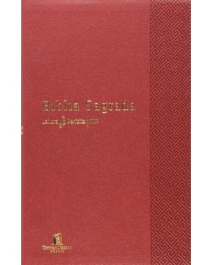 BÍBLIA NVI, CAPA LUXO VERMELHO, LEITURA PERFEITA
