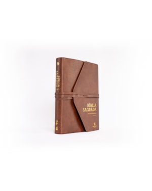 BÍBLIA NVI COM ESPAÇO PARA ANOTAÇÕES, CAPA LUXO, MARROM ARTESANAL, LEITURA PERFEITA