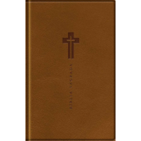 Bíblia NVI - Com Mapas Mentais Letra Grande - Marrom