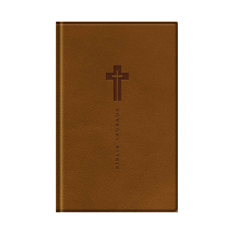 Bíblia NVI - Com Mapas Mentais Letra Grande - Marrom