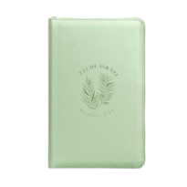 BÍBLIA NVI COM ZÍPER: REI DE ISRAEL, CAPA LUXO VERDE COM TOQUE EMBORRACHADO, LEITURA PERFEITA