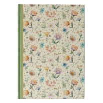 BÍBLIA NVI ECONÔMICA, CAPA DURA FLORIDA, RECORDAÇÕES