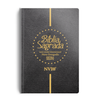 BÍBLIA NVI GIGANTE NOVO TESTAMENTO - 2 CORES - SEMI LUXO PRETA