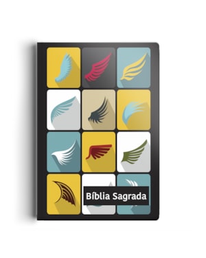 BÍBLIA NVI GRANDE NOVO TESTAMENTO - 2 CORES CAPA ESPECIAL ALADO