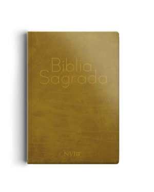 BÍBLIA NVI GRANDE NOVO TESTAMENTO - 2 CORES CAPA ESPECIAL GIRAFA